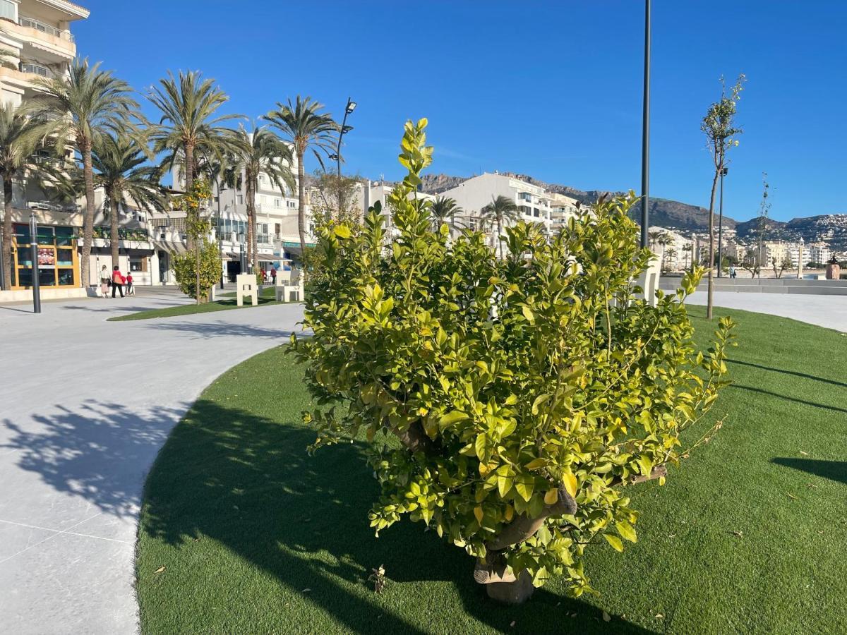 Apartamento Alteagroup Centro Extérieur photo